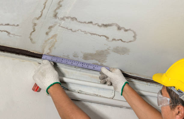 Reliable Structural Drying contractor in Edmore, MI by Water Damage Irwin